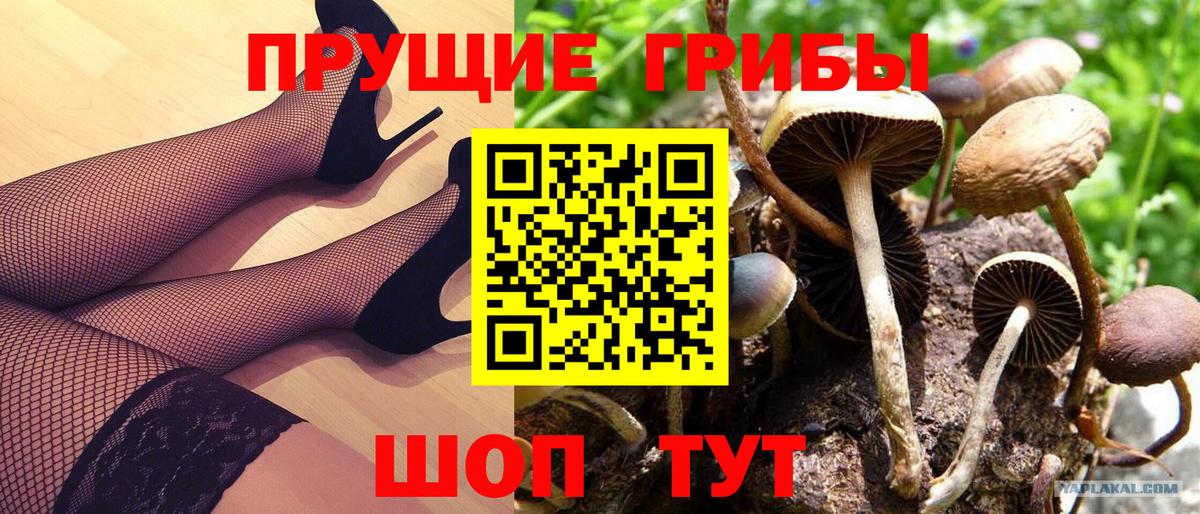 Галлюциногенные грибы мицелий Джанкой