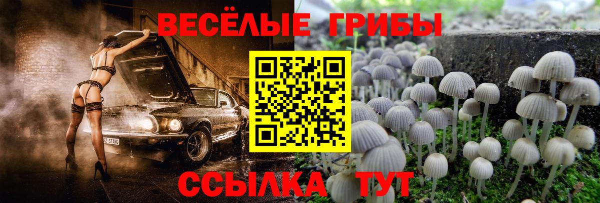 Галлюциногенные грибы Magic Shrooms  Вход с VPN  купить наркоту  Джанкой 
